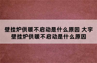 壁挂炉供暖不启动是什么原因 大宇壁挂炉供暖不启动是什么原因